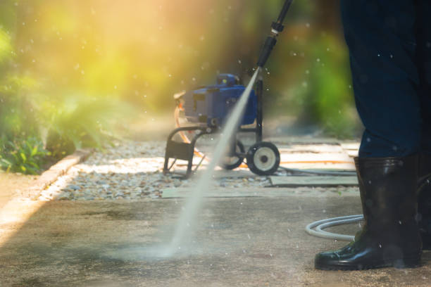 Best Driveway Pressure Washing  in Sorgho, KY